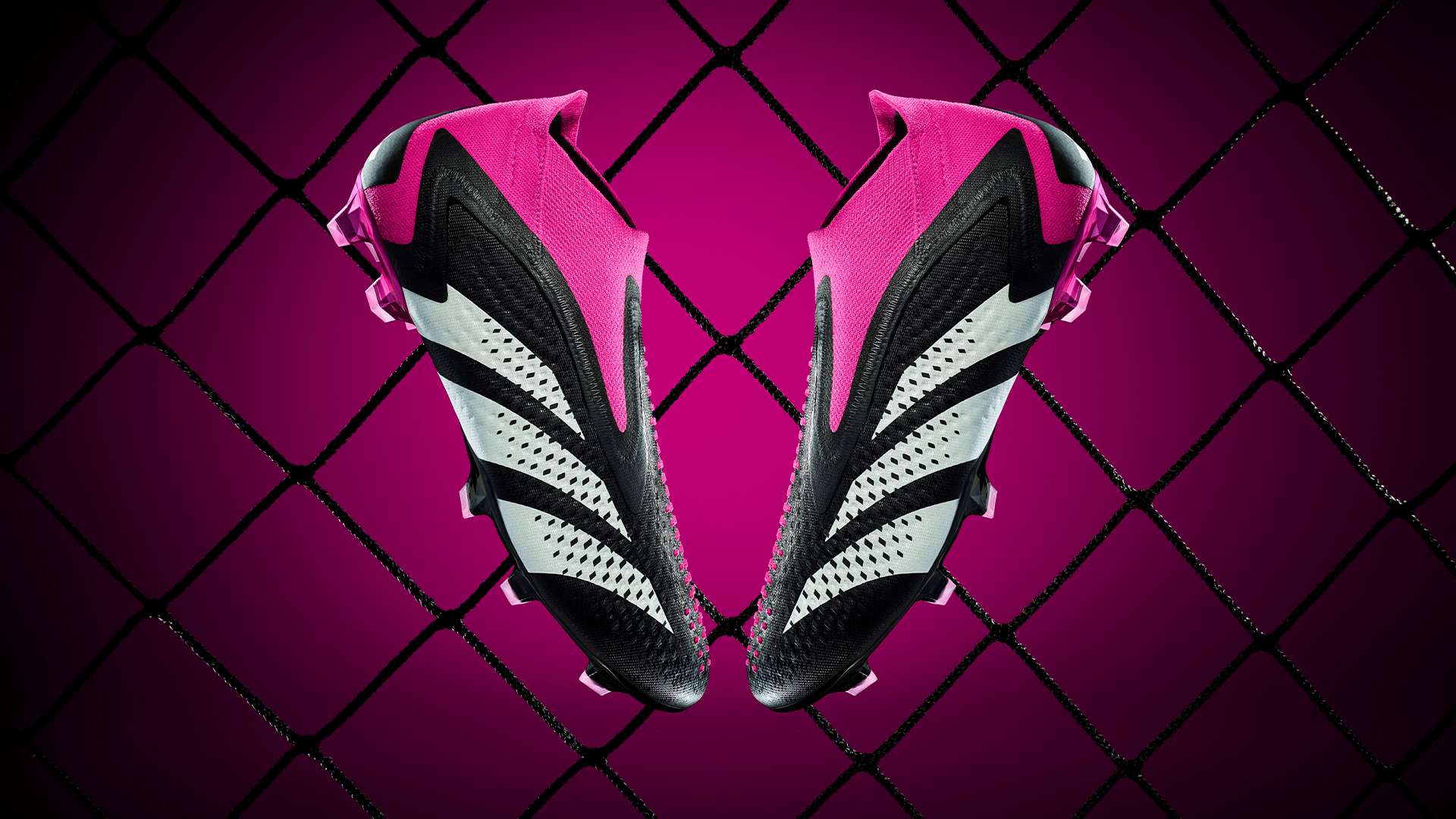 但由于疫情 但由于疫情